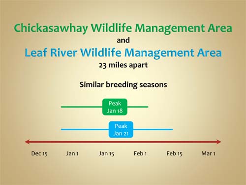 Chickasawhay Wildlife Management Area